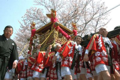 mikoshi.jpg