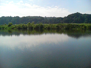 20070904095327.jpg