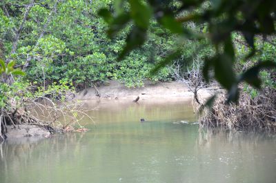 DSC_1460.jpg