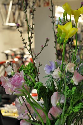 _DSC0011.jpg
